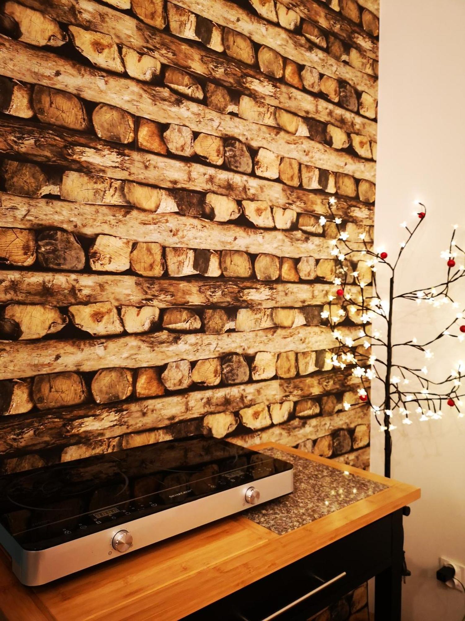 Kot Pocztowy Apartment *