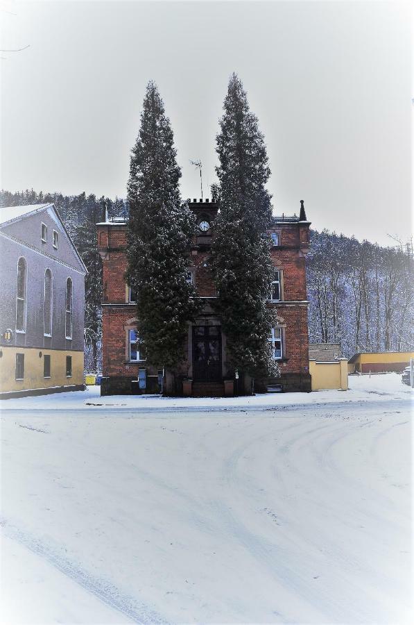 Kot Pocztowy